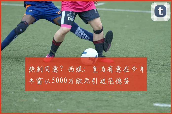 热刺同意？西媒：皇马有意在今年冬窗以5000万欧元引进范德芬