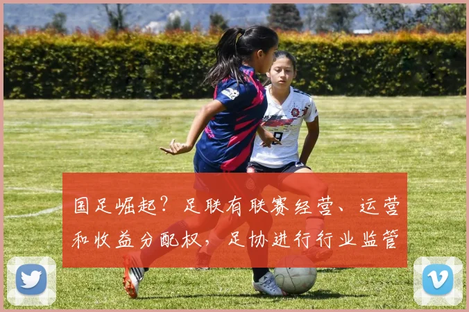 国足崛起？足联有联赛经营、运营和收益分配权，足协进行行业监管