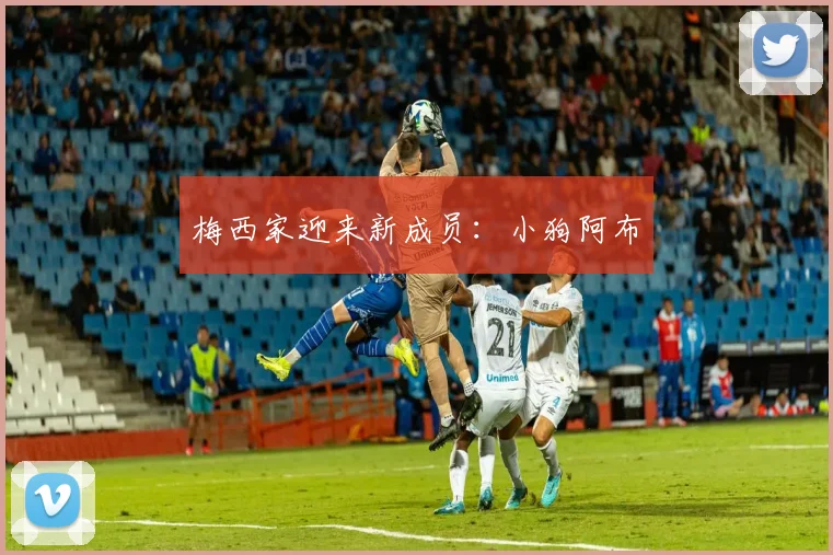 梅西家迎来新成员：小狗阿布