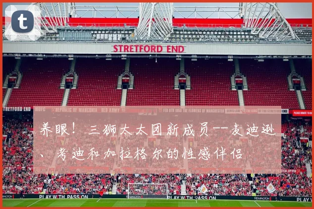 养眼！三狮太太团新成员--麦迪逊、考迪和加拉格尔的性感伴侣